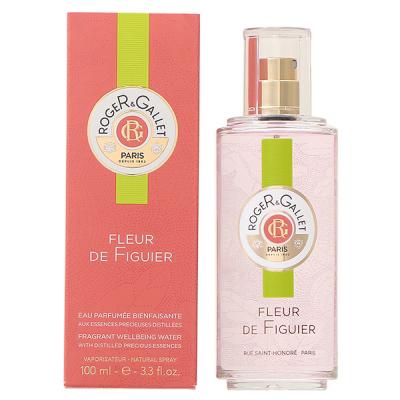 WFK ROGERGALLET tBO pt[ EH[^[ 100L  tOX