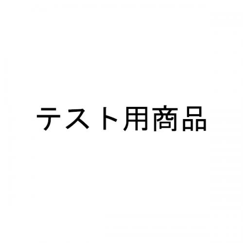 【購入不可】シセイドウ 資生堂 リバイタル テストページ_単品 化粧水 ローション